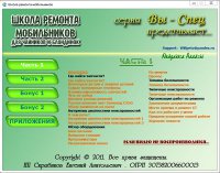 Евгений Скрябиков. Ремонт мобильных телефонов. Видеокурс